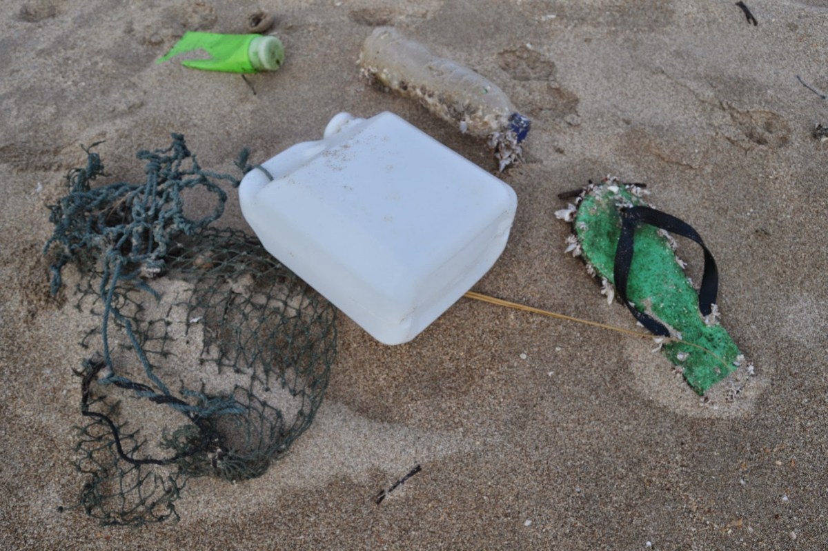 Wordless Wednesday ~ June 4