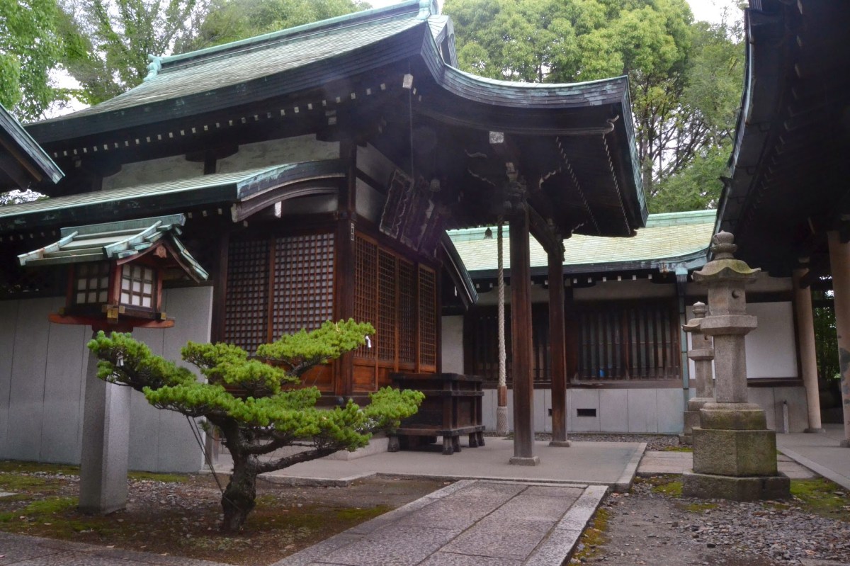 Wordless Wednesday ~ June 18